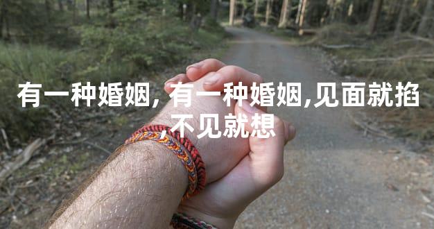 有一种婚姻, 有一种婚姻,见面就掐,不见就想